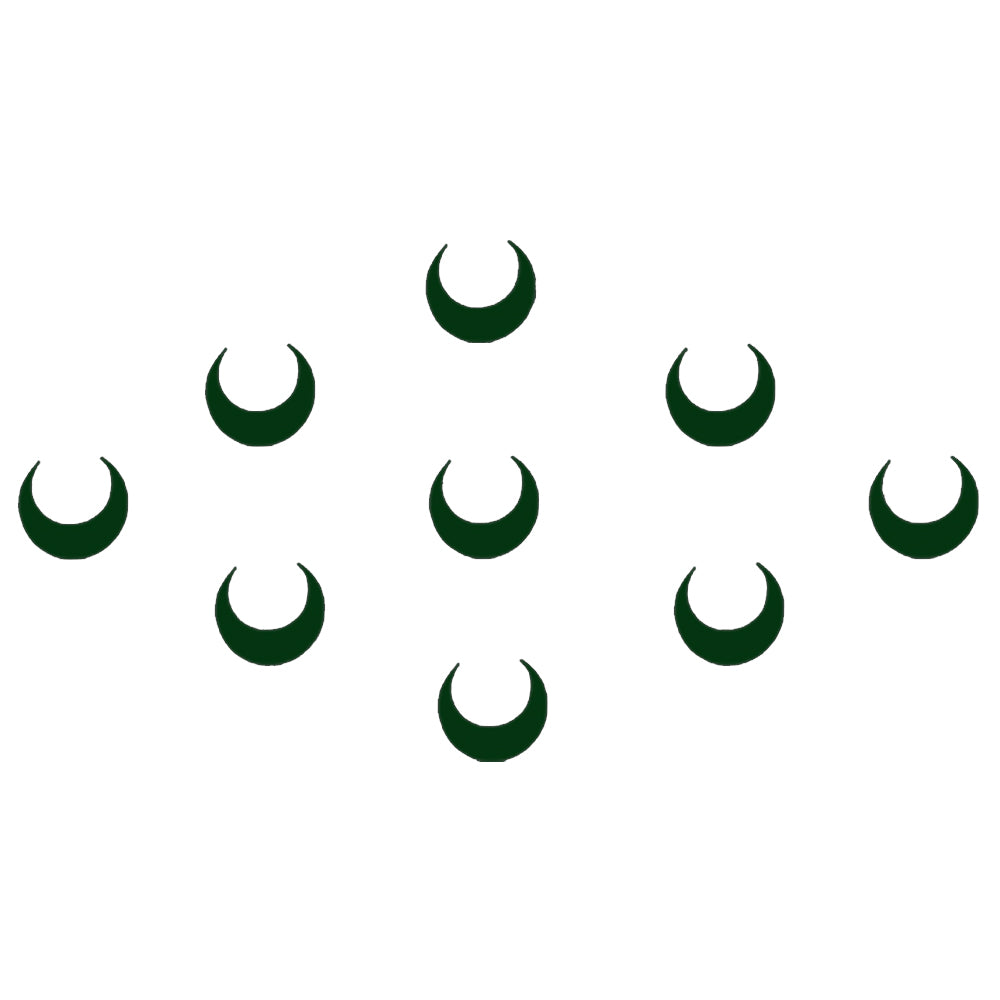 Comet Busters® Green Moon Classic Bindis – Handcrafted, Reusable, Skin-Safe Indian Forehead Stickers for Women