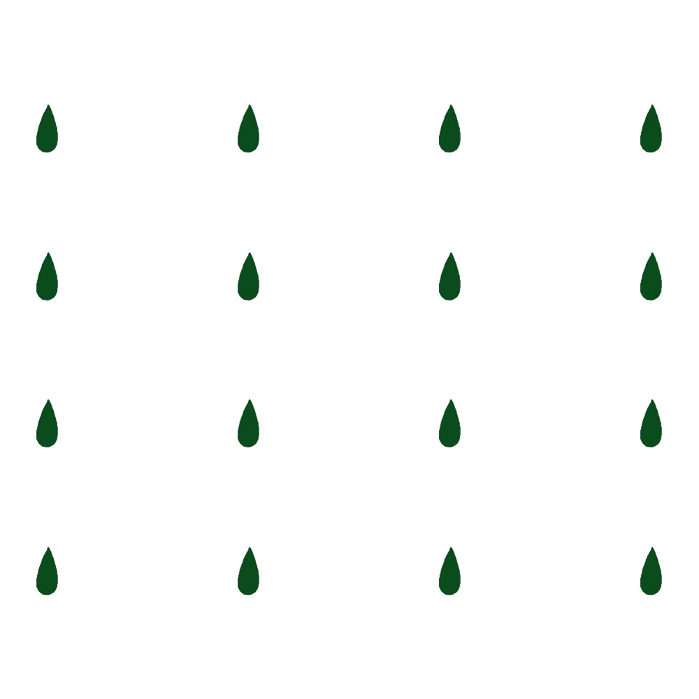 Comet Busters® Green Designer Classic Bindis – Handcrafted, Reusable, Skin-Safe Indian Forehead Stickers for Women