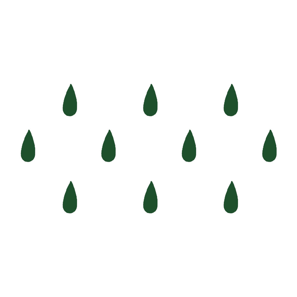 Comet Busters® Green Designer Classic Bindis – Handcrafted, Reusable, Skin-Safe Indian Forehead Stickers for Women