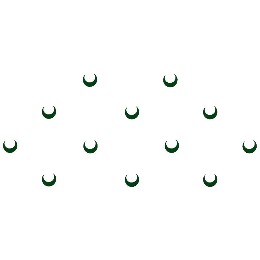 Comet Busters® Green Moon Classic Bindis – Handcrafted, Reusable, Skin-Safe Indian Forehead Stickers for Women