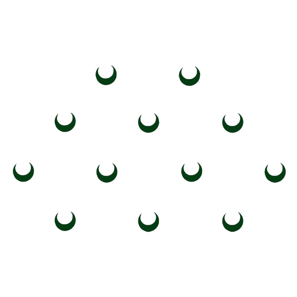 Comet Busters® Green Moon Classic Bindis – Handcrafted, Reusable, Skin-Safe Indian Forehead Stickers for Women